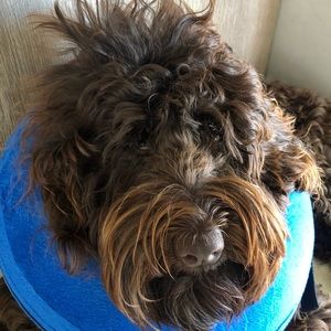 Meet your Posher, Kate